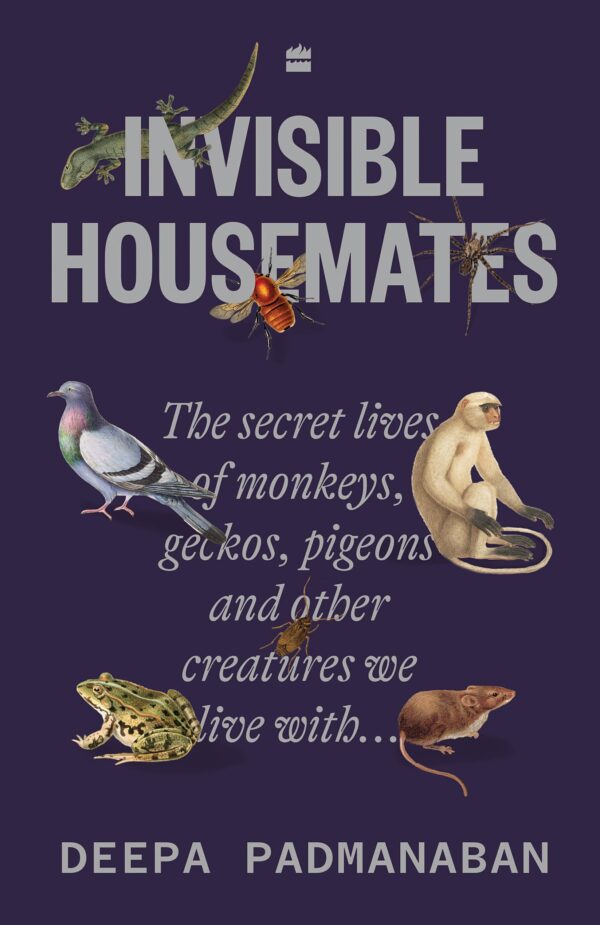 INVISIBLE HOUSEMATES