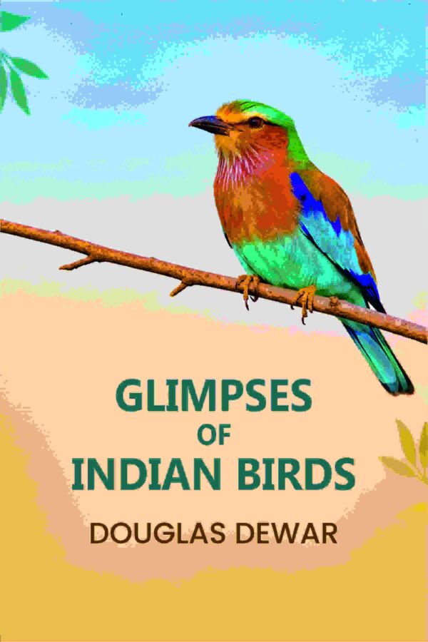 Glimpses Of Indian Birds