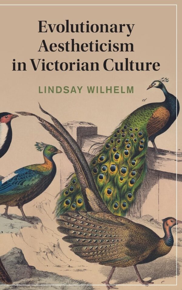 Evolutionary Aestheticism in Victorian Culture: 148 (Cambridge Studies in Nineteenth-Century Literature and Culture)