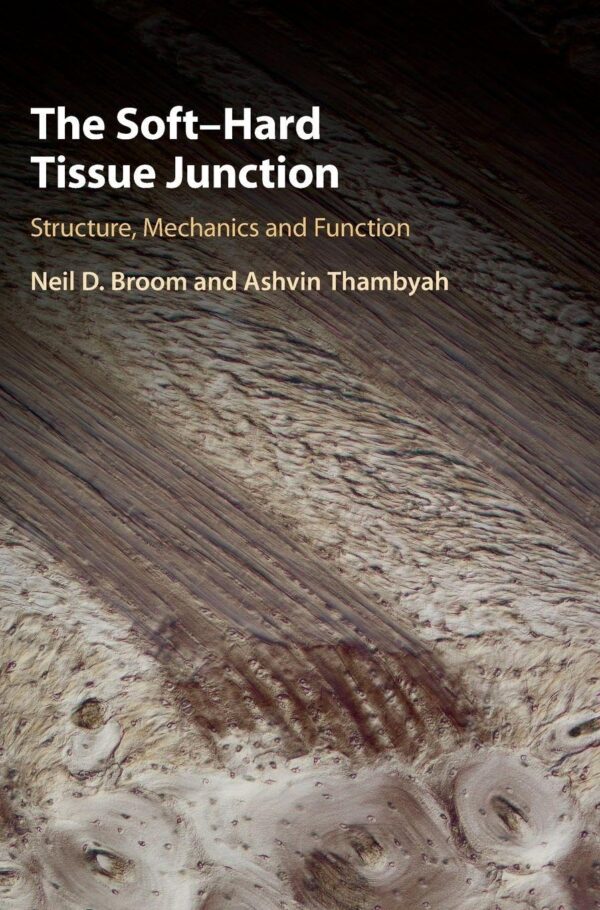 The Soft–Hard Tissue Junction