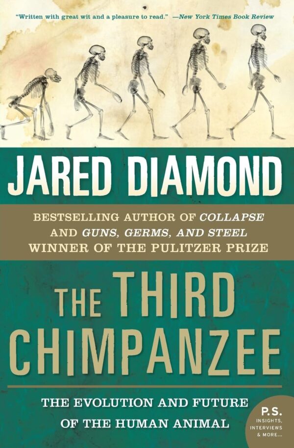 THIRD CHIMPANZEE