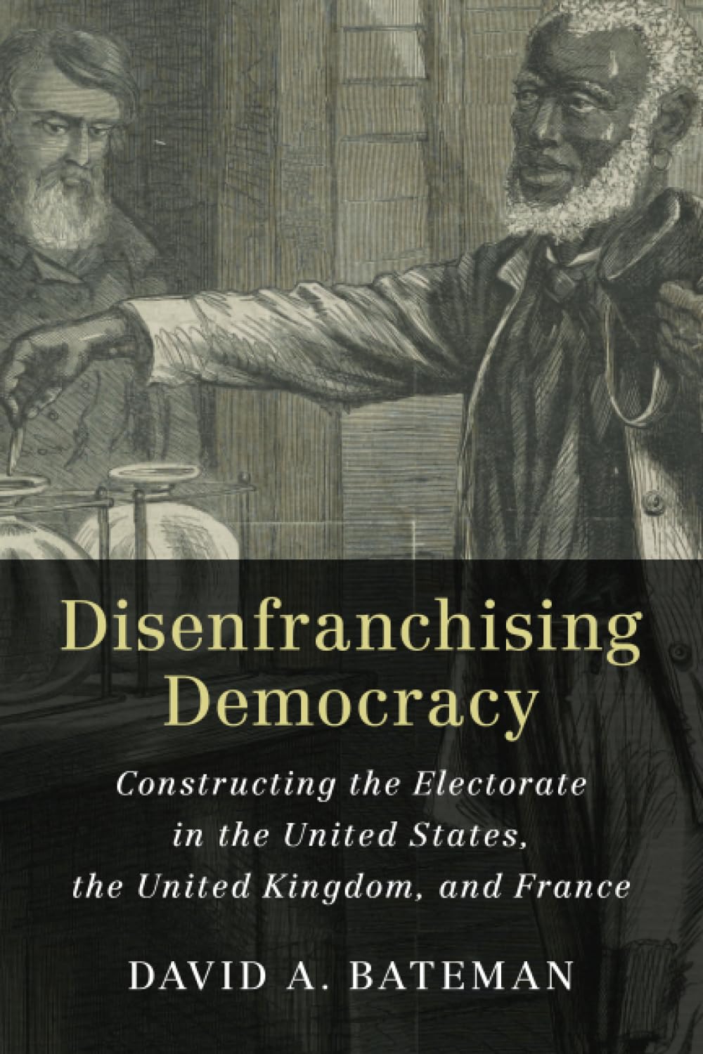 Disenfranchising Democracy