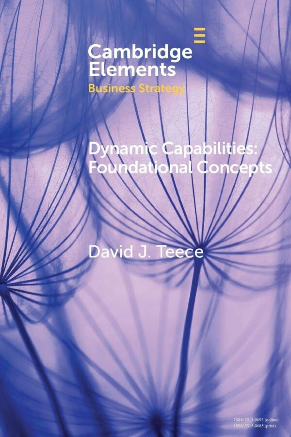 Dynamic Capabilities: Foundational Concepts (Elements in Business Strategy)