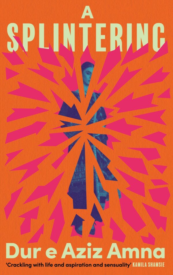 A Splintering: An unforgettable story of motherhood, obsession and ambition