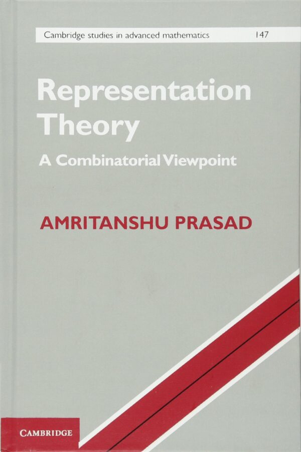 Representation Theory: A Combinatorial Viewpoint: 147 (Cambridge Studies in Advanced Mathematics, Series Number 147)