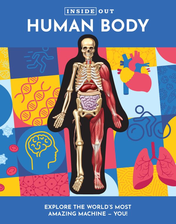 INSIDE OUT HUMAN BODY