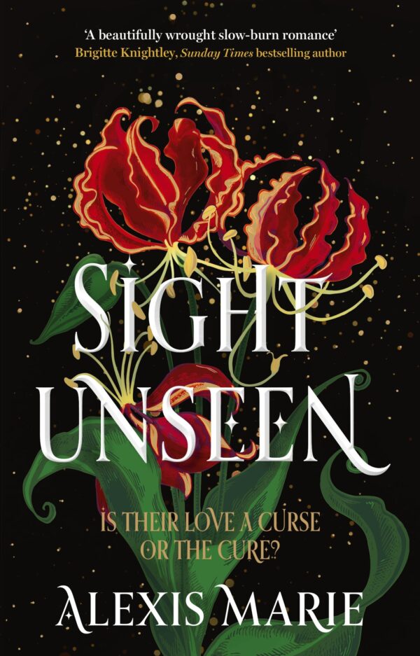 Sight Unseen: An irresistible enemies-to-lovers, slow-burn fantasy romance