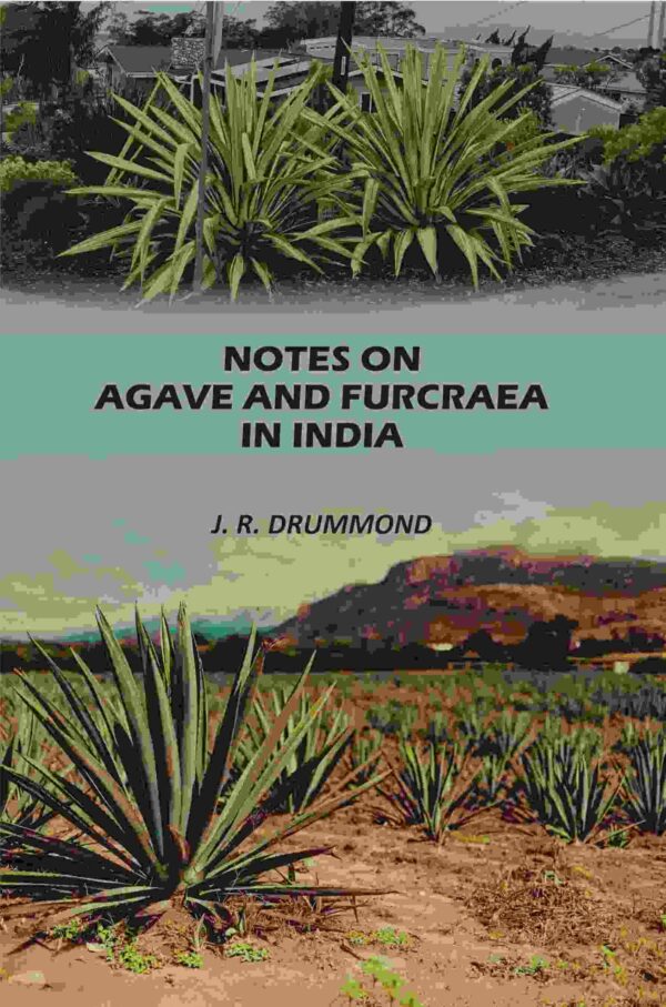 Notes on Agave and Furcraea in India [Hardcover]