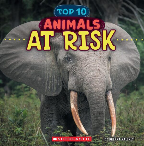 Animals At Risk (Wild World: Top 10)