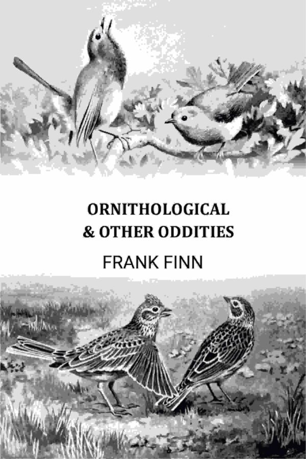 Ornithological & Other Oddities