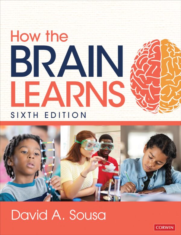HOW THE BRAIN LEARNS
