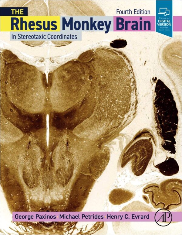 The Rhesus Monkey Brain: In Stereotaxic Coordinates