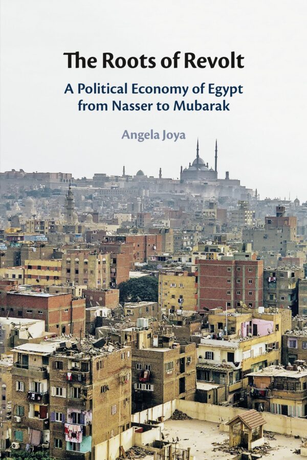 The Roots of Revolt: A Political Economy of Egypt from Nasser to Mubarak