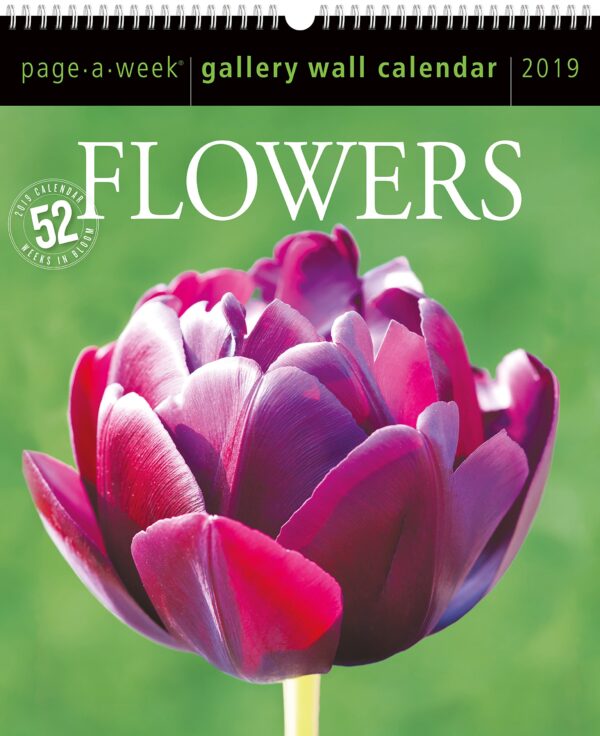 Flowers Gallery 2019 Calendar: Page-a-week