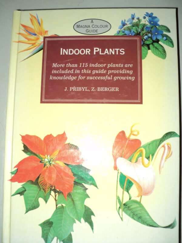 Indoor Plants